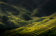 Vietnam sur la route du Tonkin