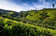 Premier regard sur le Sri Lanka