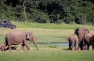 Premier regard sur le Sri Lanka