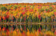 Lumière de l'Est canadien