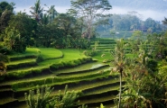 Java et Bali originales