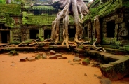 Lumières du Vietnam et Cambodge