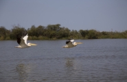 Plages et culture du Sénégal