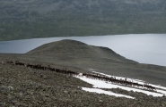 Panorama des fjords de Norvège