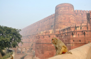 Escapade colorée au Rajasthan