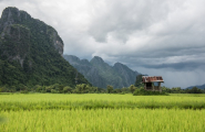 Immersion au coeur du Laos