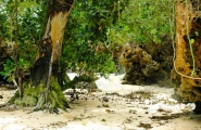 Séjour plage au The Sands at Chale Island