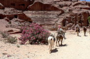 Jordanie fascinante beauté millénaire