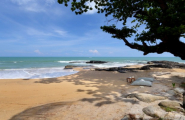 Séjour plage au Moracea by Khao Lak Resort