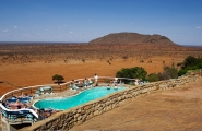 Safari rendez-vous à la plage