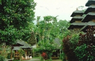 Java et Bali originales