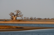 Plages et culture du Sénégal