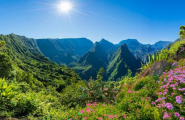 Regard sur l'Île de la Réunion