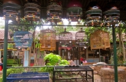 Java et Bali originales