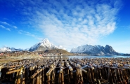 Fjords et baleines de Norvège