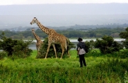 Safari Karibuni classic