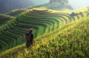 Vietnam sur la route du Tonkin
