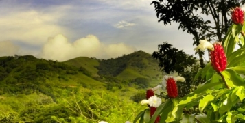 Jungles et forêts du Costa Rica