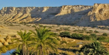 A la découverte d'Oman