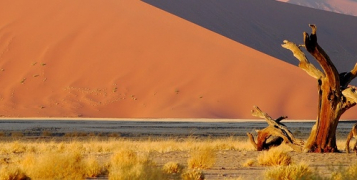 Vision de Namibie