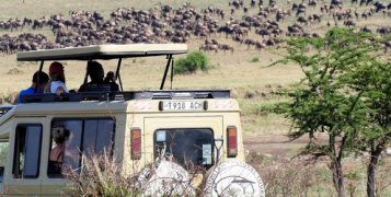 Safari privé Karibuni Ndefu