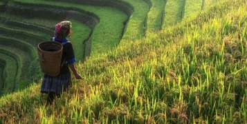 Vietnam sur la route du Tonkin