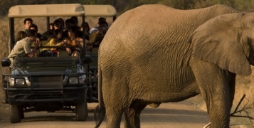 Premier regard sur l'Afrique du Sud