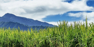 Regard sur l'Île de la Réunion