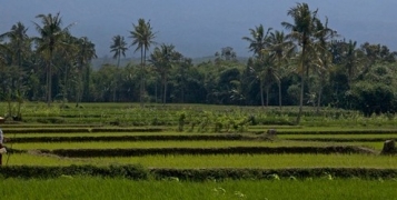 Java et Bali classic special package