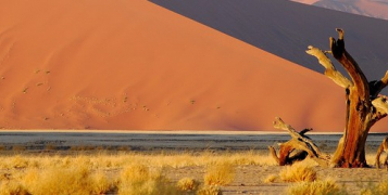 Vision de Namibie