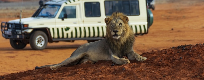 Safari privé du Masai Mara à l'Océan Indien