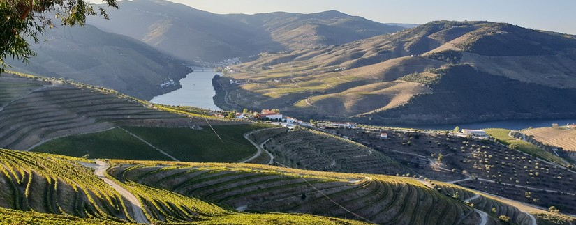 Regards sur le Nord du Portugal et la Galice