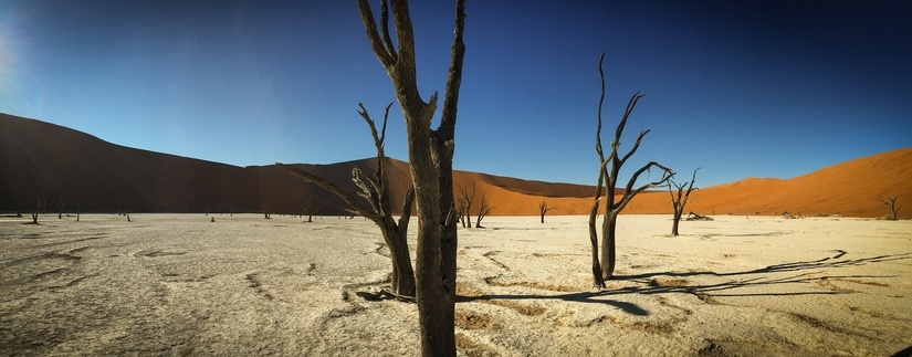 Circuits Namibie