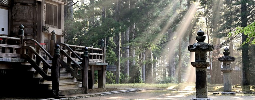 Lumière sur le Japon